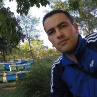 Slika Profila Berze