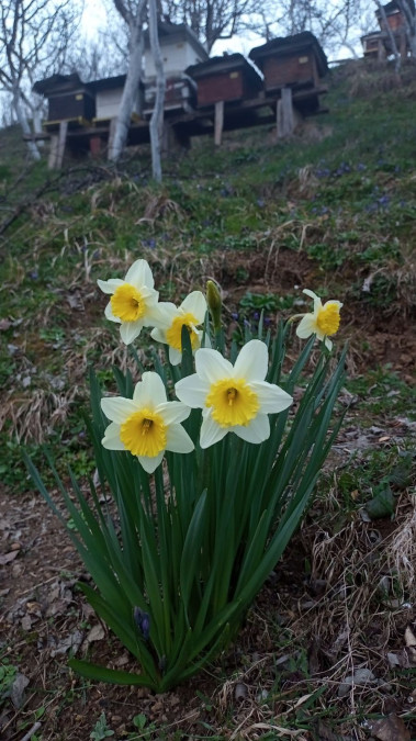 Fotografije