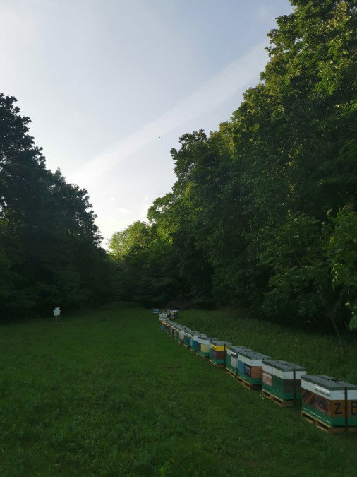 Fotografije