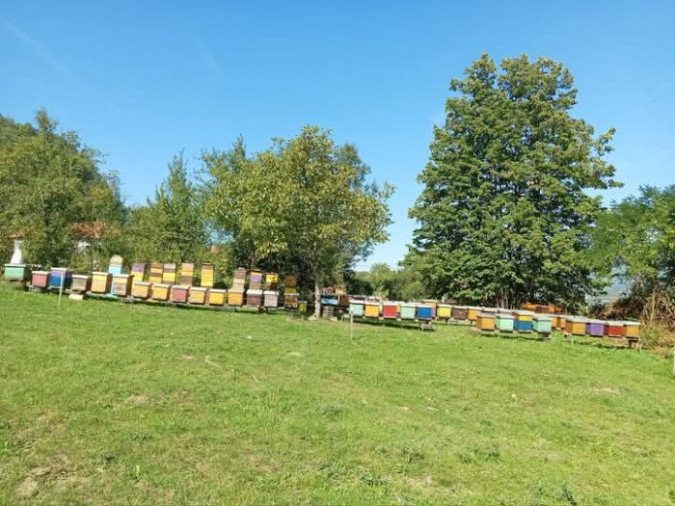 Fotografije