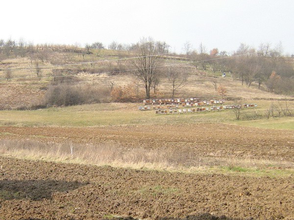 Fotografije