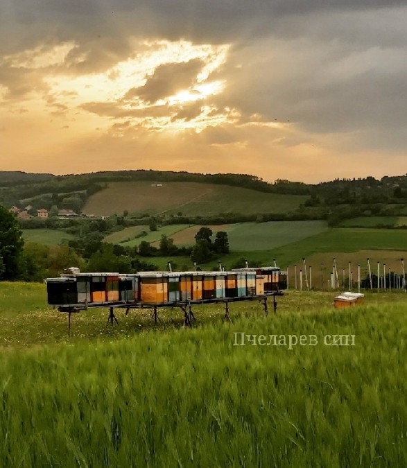 Fotografije